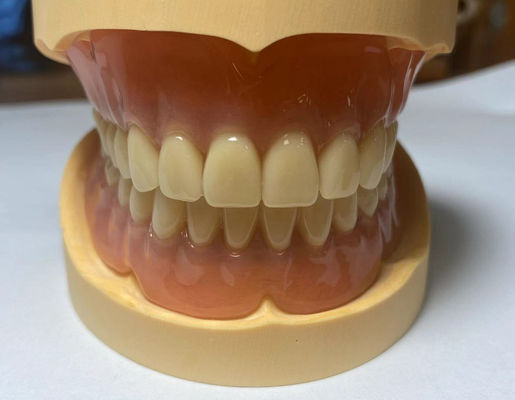 kopen Makkelijk schoon te maken volledig acrylprothese zeer elastisch voor langdurig gebruik online vervaardiging