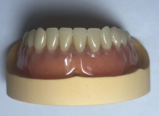 kopen Tandheelkundig laboratorium Acrylische volle boog tandvlees gemakkelijk te gebruiken met natuurlijke vorm online vervaardiging